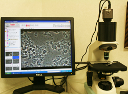 位相差顕微鏡の写真です